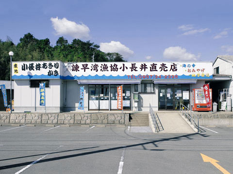 小長井町漁港直売店